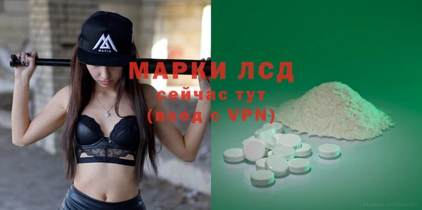 шишки Алзамай