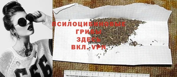 шишки Алзамай
